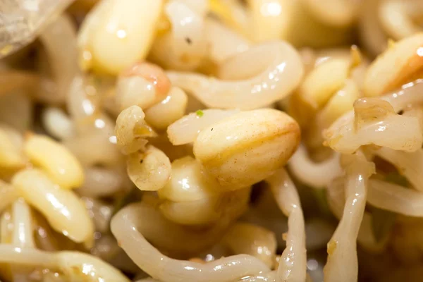 Weizenkeime im Salat. Makro — Stockfoto