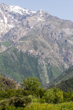 Doğa