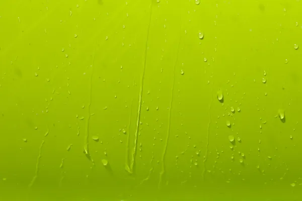 绿色底色上的水滴 — 图库照片