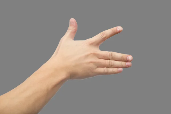 Hand — Stock Photo, Image