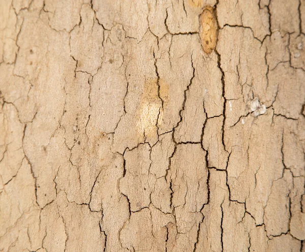 Arkaplan — Stok fotoğraf