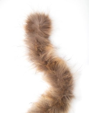 Beyaz arka plan üzerinde kürk