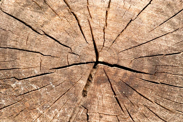 Bakgrund — Stockfoto