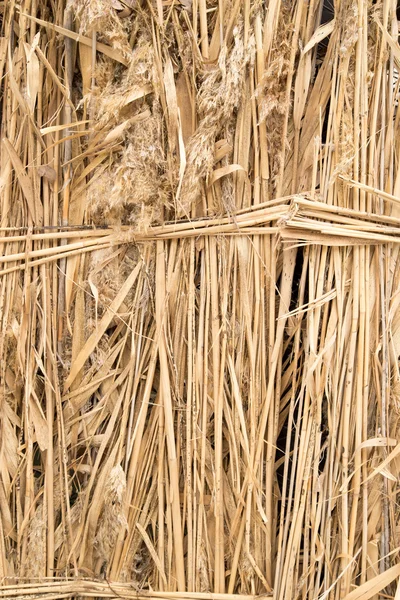 Bakgrund — Stockfoto