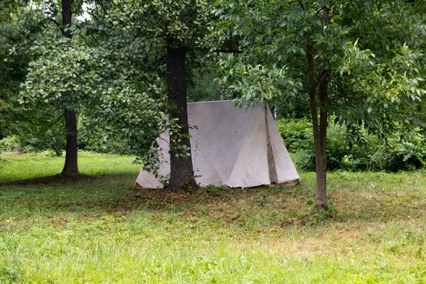 Tält i skogen — Stockfoto