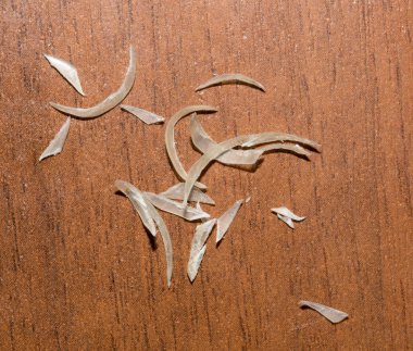 ahşap arka plan üzerinde çivi kırpılmış. Makro