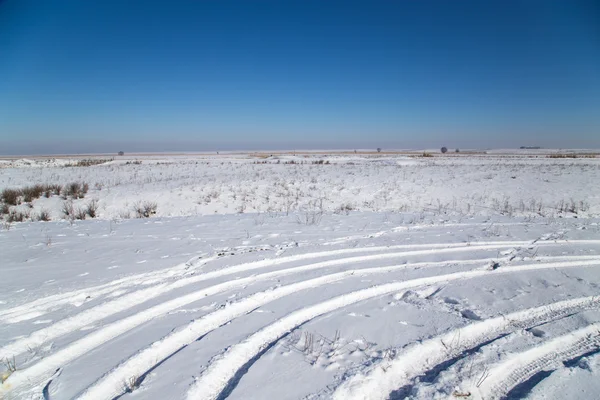 Natuur — Stockfoto