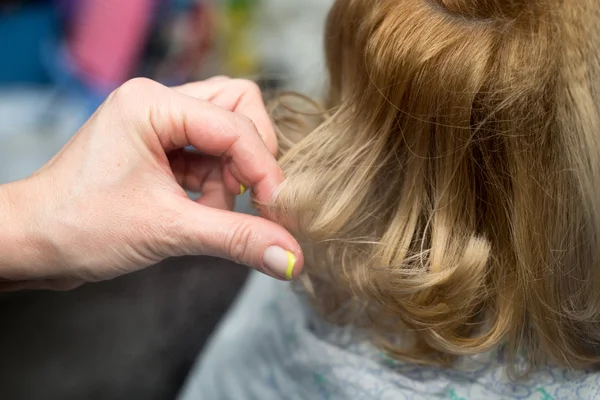 Schönheitssalon — Stockfoto