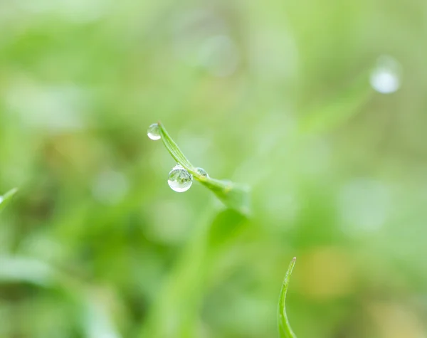 Natur — Stockfoto