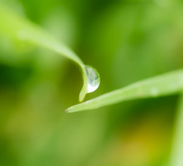 Natuur — Stockfoto