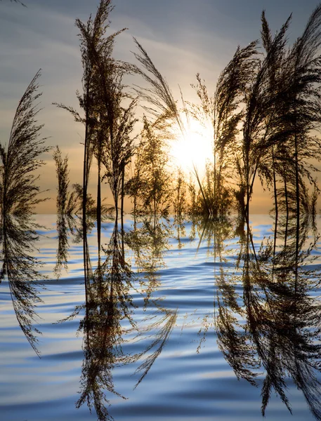 Nubes con reflexión sobre el agua — Foto de Stock