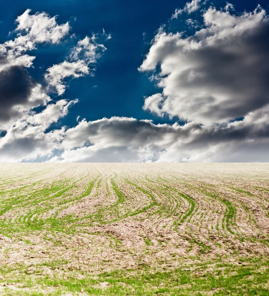 Hintergrund — Stockfoto