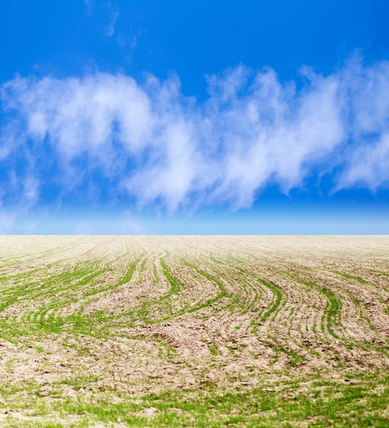 Hintergrund — Stockfoto