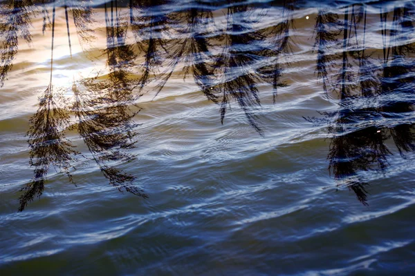 Vatten med sky reflektion — Stockfoto