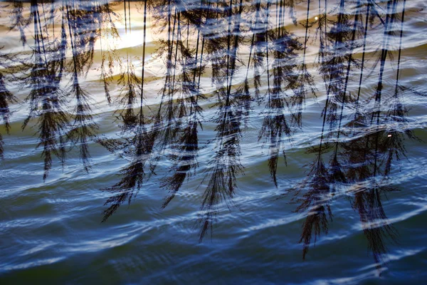 Vatten med sky reflektion — Stockfoto