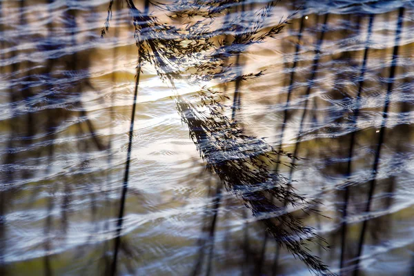 Wasser mit Himmelsspiegelung — Stockfoto