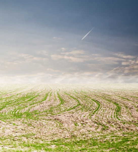 Natur — Stockfoto