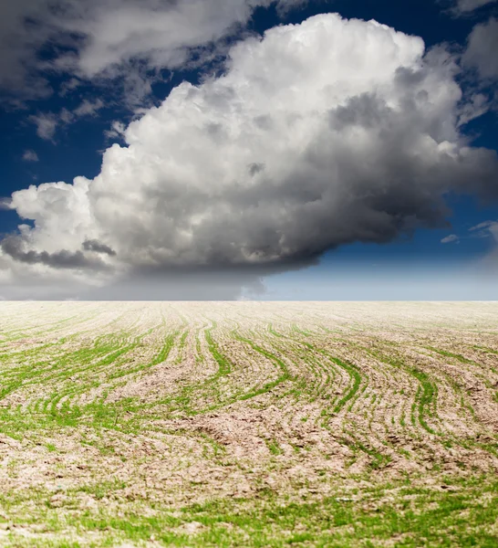 Natureza — Fotografia de Stock