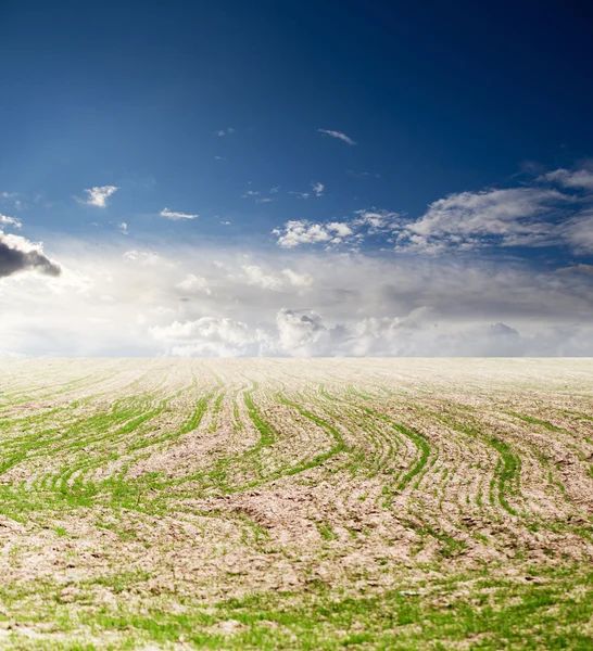 Natur — Stockfoto