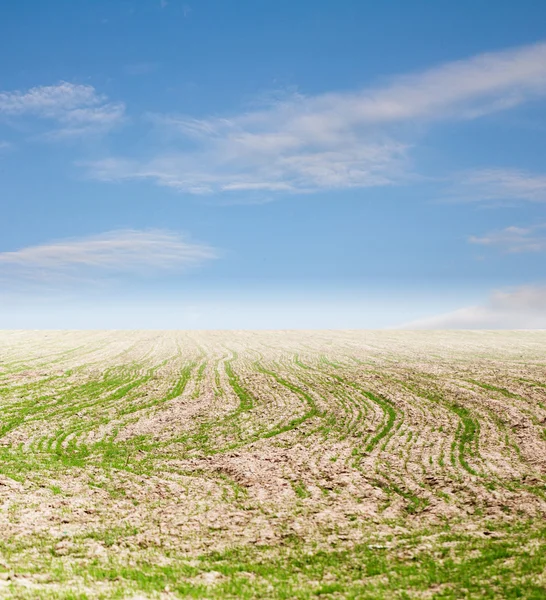 Achtergrond — Stockfoto