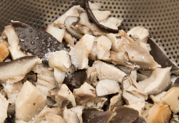 Champignons frits dans une casserole — Photo