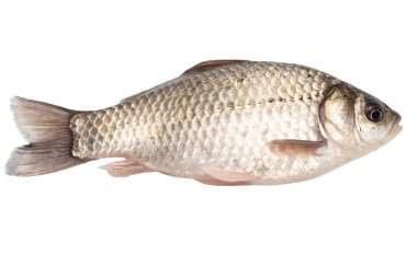 Doğa