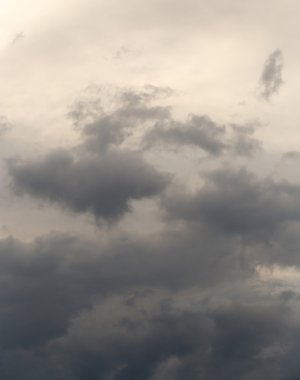 Doğa