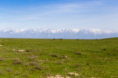 Doğa