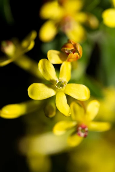 Příroda — Stock fotografie