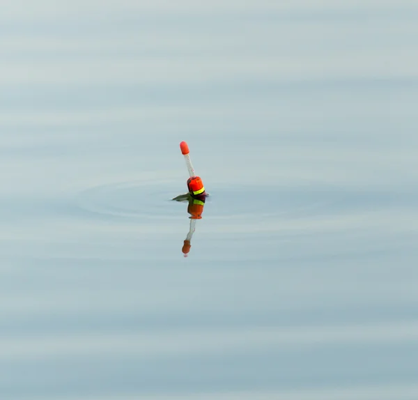 Naturaleza — Foto de Stock