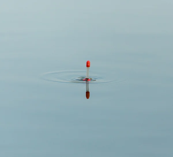 Naturaleza — Foto de Stock