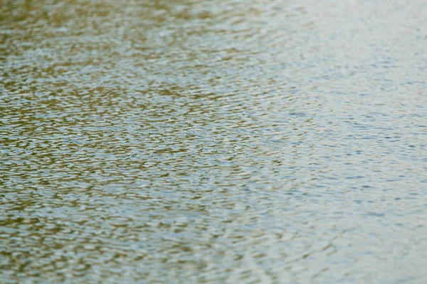 Natuur — Stockfoto