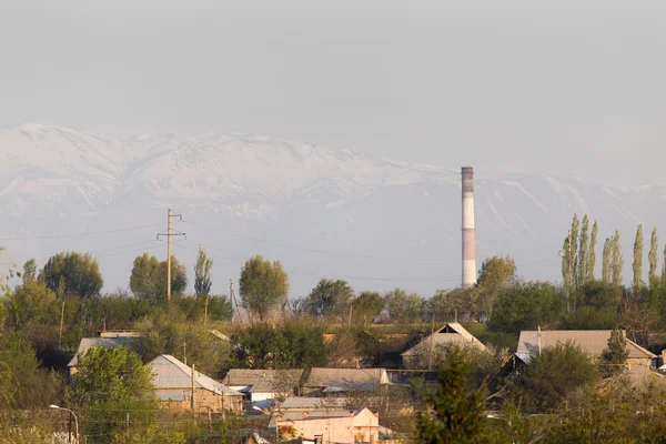 Doğa — Stok fotoğraf