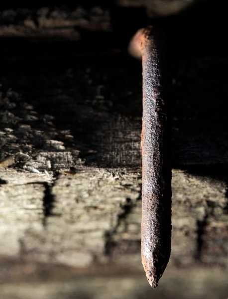 Oude roestige spijker in het stuk hout. macro — Stockfoto