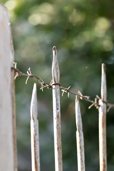 Barbed wire fence — Stock Photo, Image