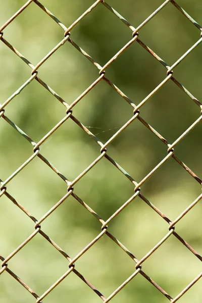 Stacheldrahtzaun — Stockfoto