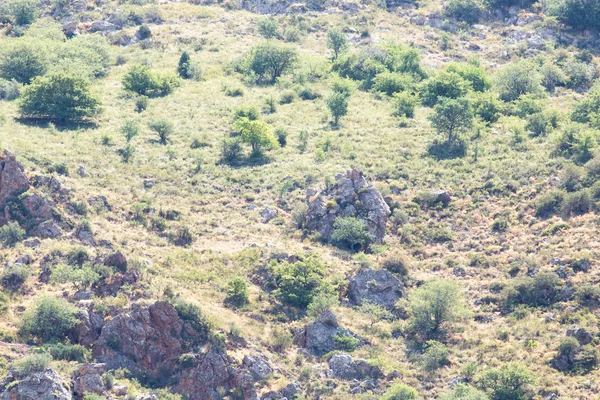 Φύση — Φωτογραφία Αρχείου