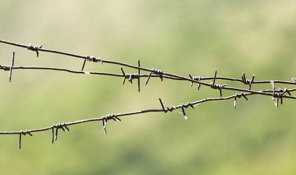 Cerca de alambre de púas — Foto de Stock