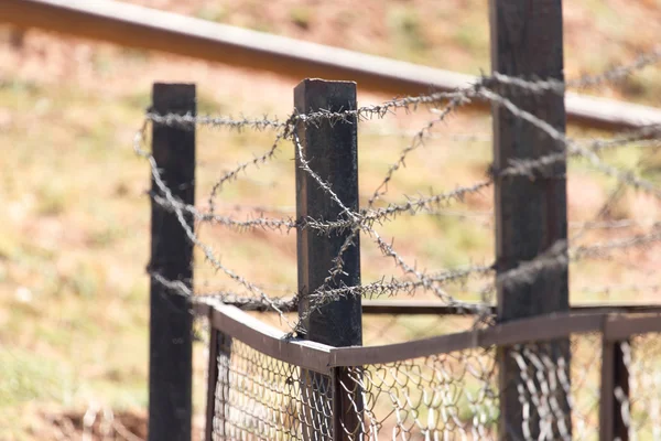 Barbed wire fence — Stock Photo, Image