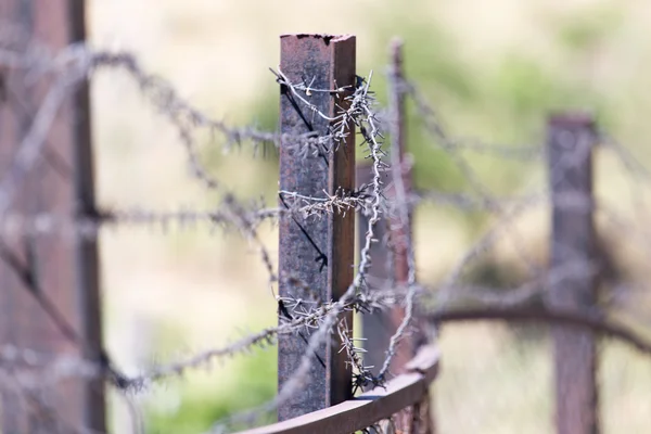 Szögesdrót kerítés — Stock Fotó