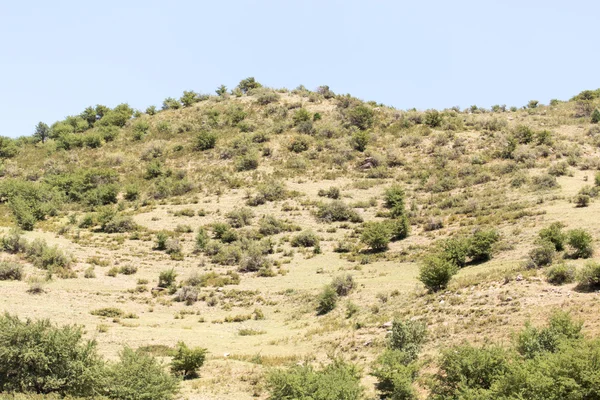 Naturaleza — Foto de Stock