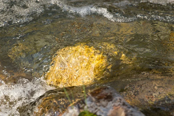 Naturaleza — Foto de Stock