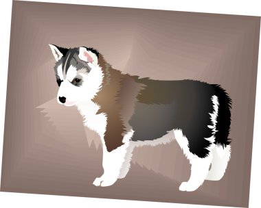 küçük yavru köpek doğurmak siberian dış yapraklar