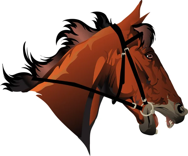 Racehorse head — Stock Vector