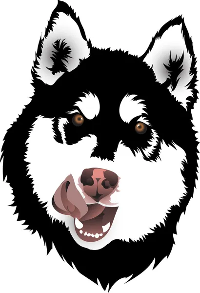 Tête de chien Malamute — Image vectorielle