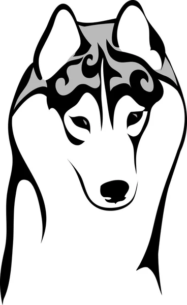 Σιβηρικό huskies έκπληκτος — Διανυσματικό Αρχείο