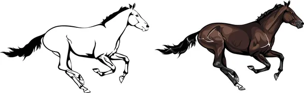 Zwei galoppierende Pferde — Stockvektor