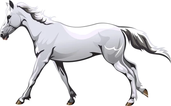 Cheval blanc de Prancing — Image vectorielle