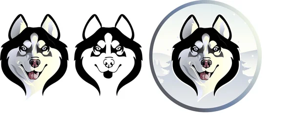 Husky enojado — Vector de stock