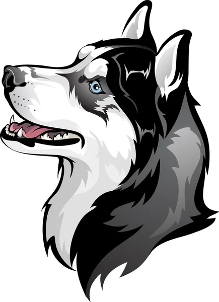 Sibirischer Husky — Stockvektor